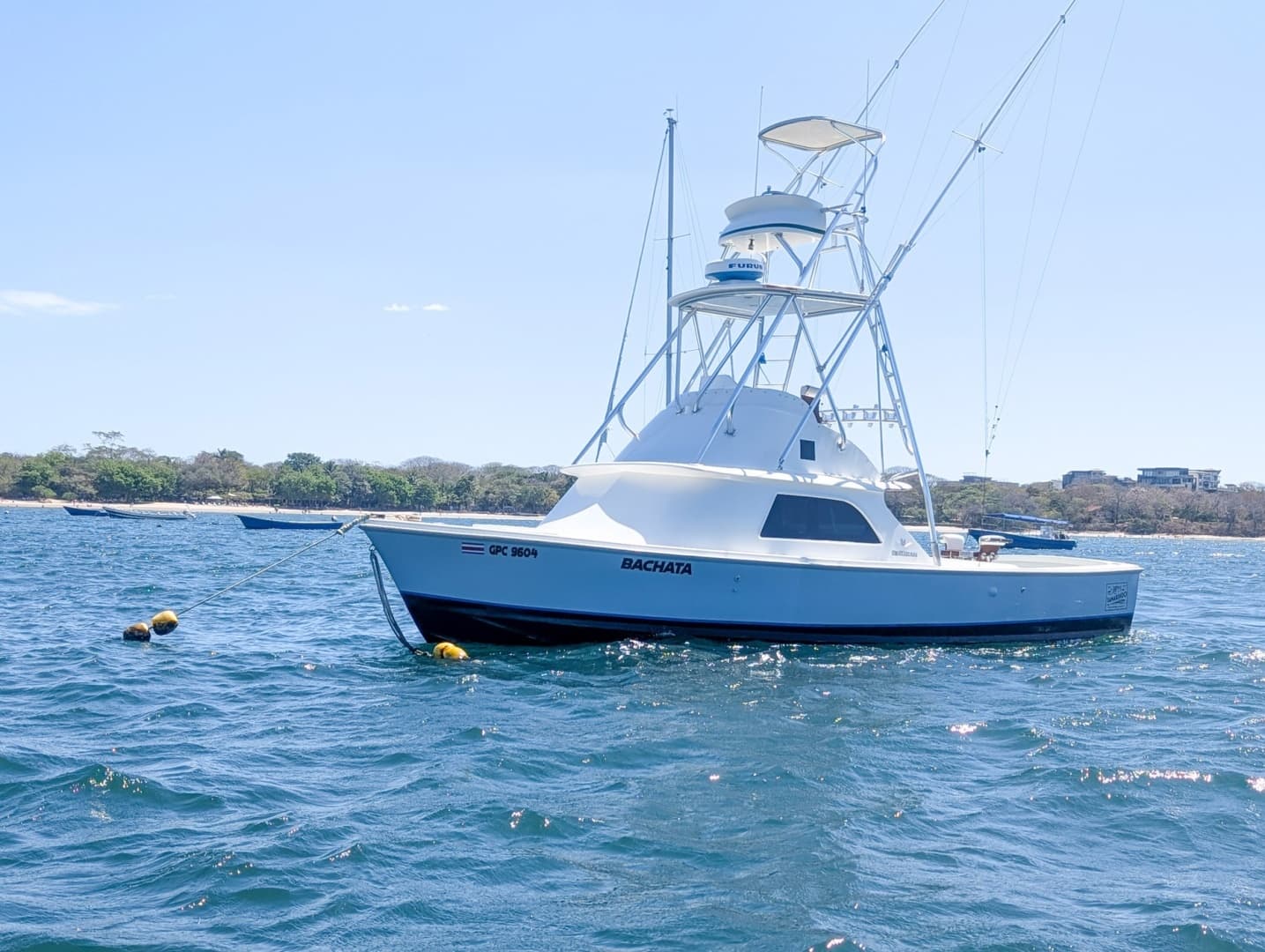 1973 Bertram Sportfisher - Image 2