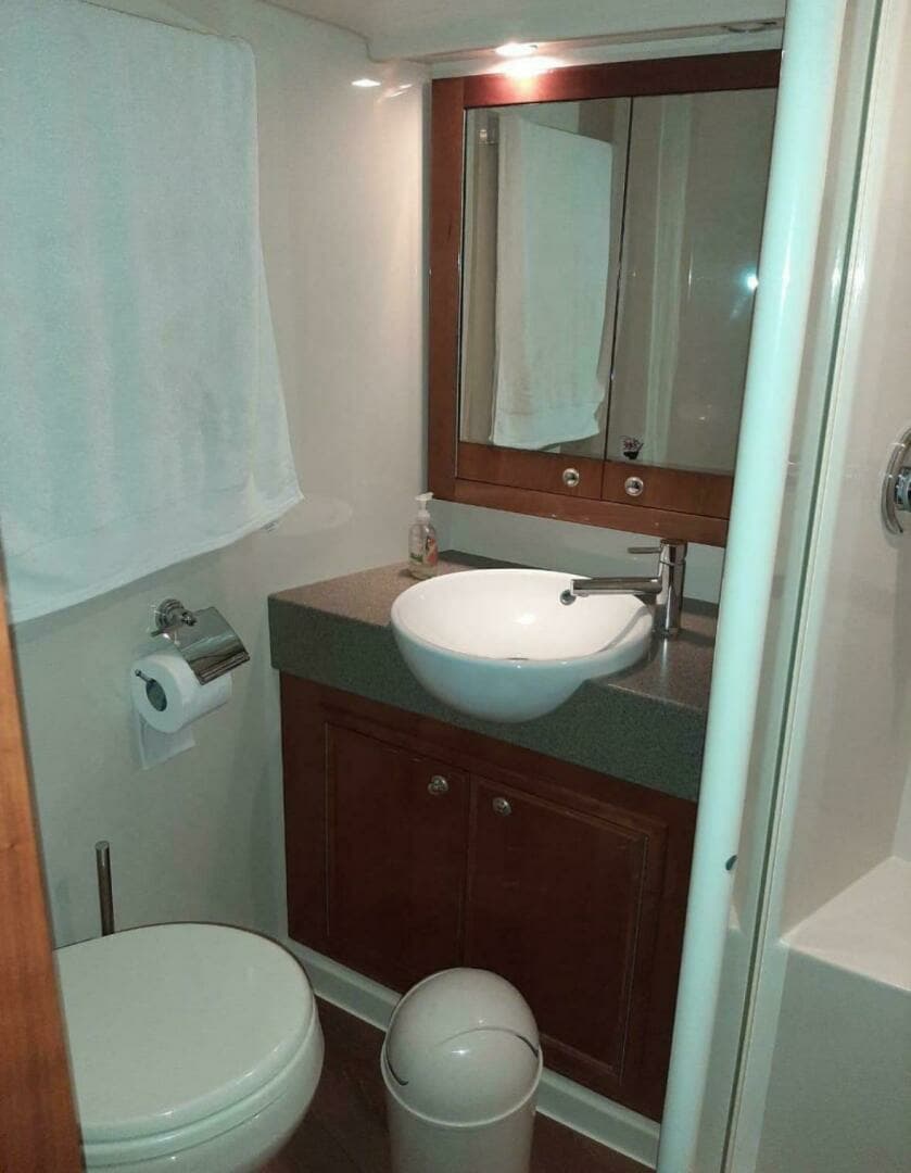 2009 Riviera 47 Enclosed Flybridge Series II - Image 11