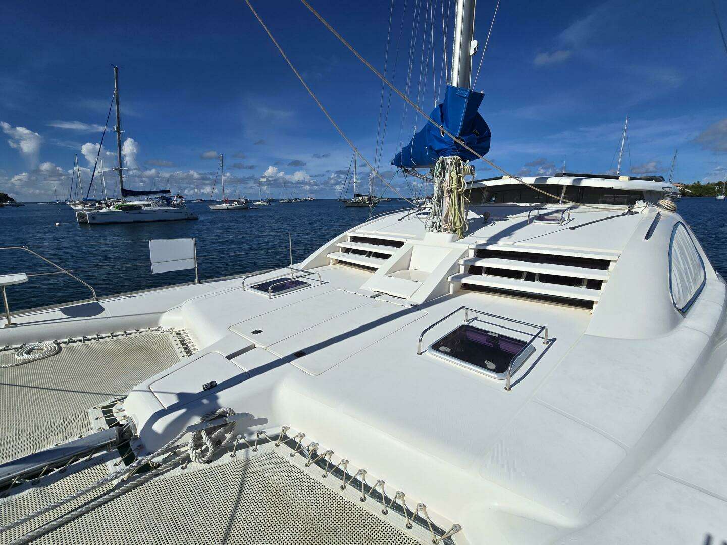 2005 Robertson & Caine Leopard - Image 6