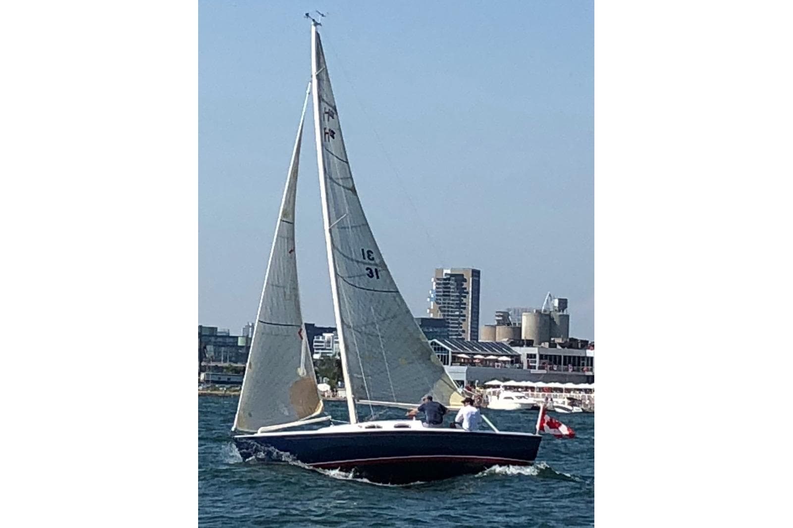 2010 Schock Harbor 25 sailboat cruising on water with cityscape background.