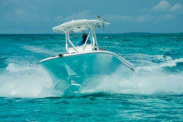 2025 Edgewater 245CC - Image 1