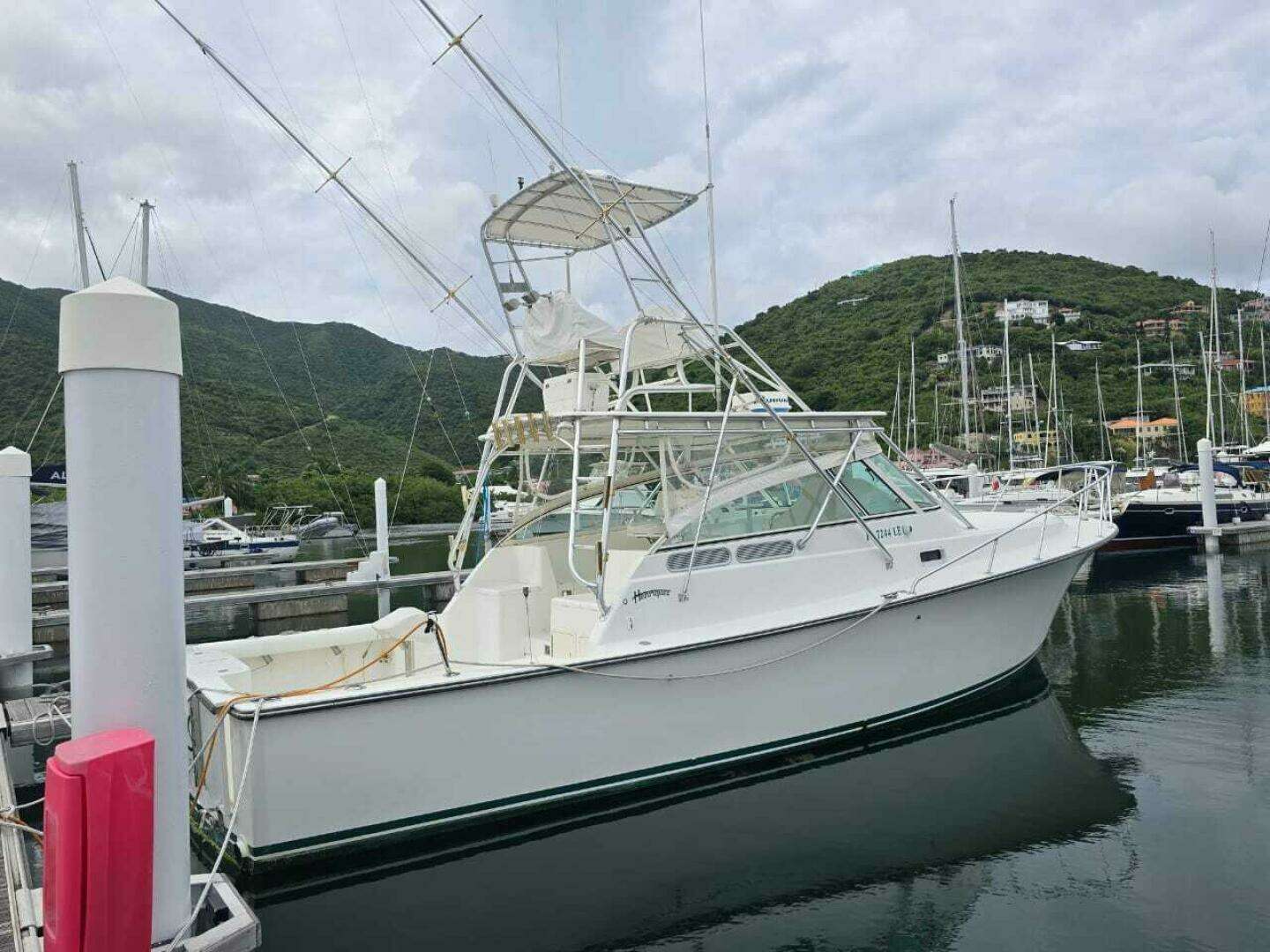 2000 Henriques 35 Express - Image 2