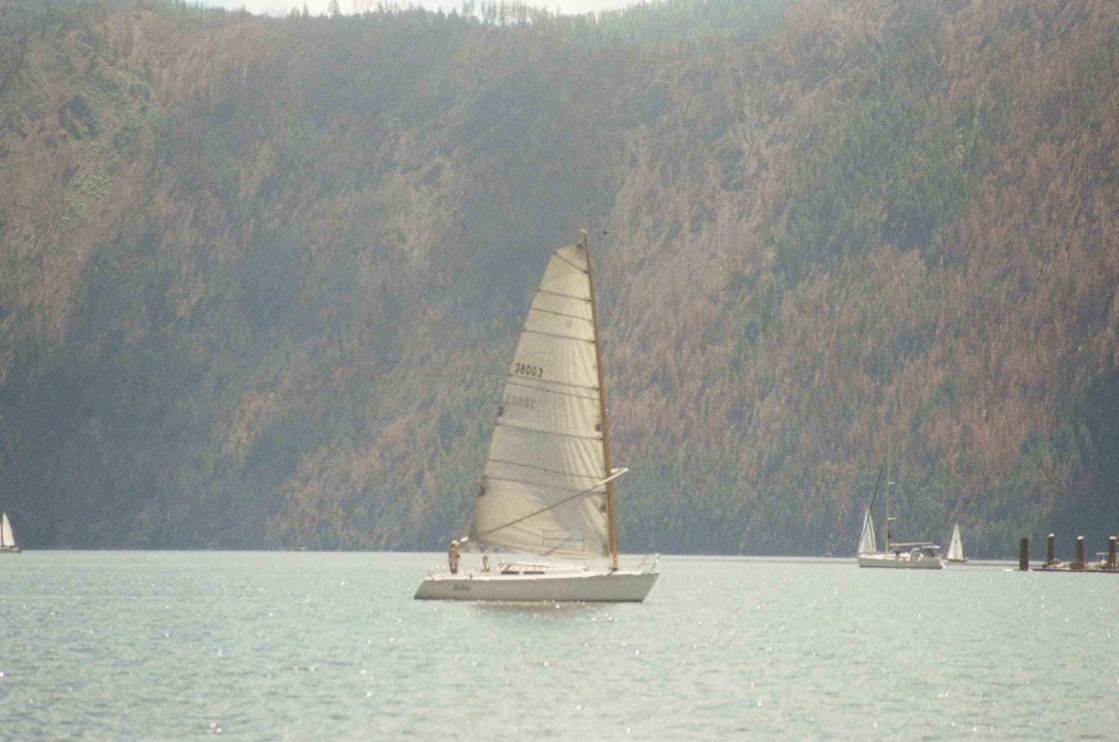 1996 Wyliecat 30 - Image 33