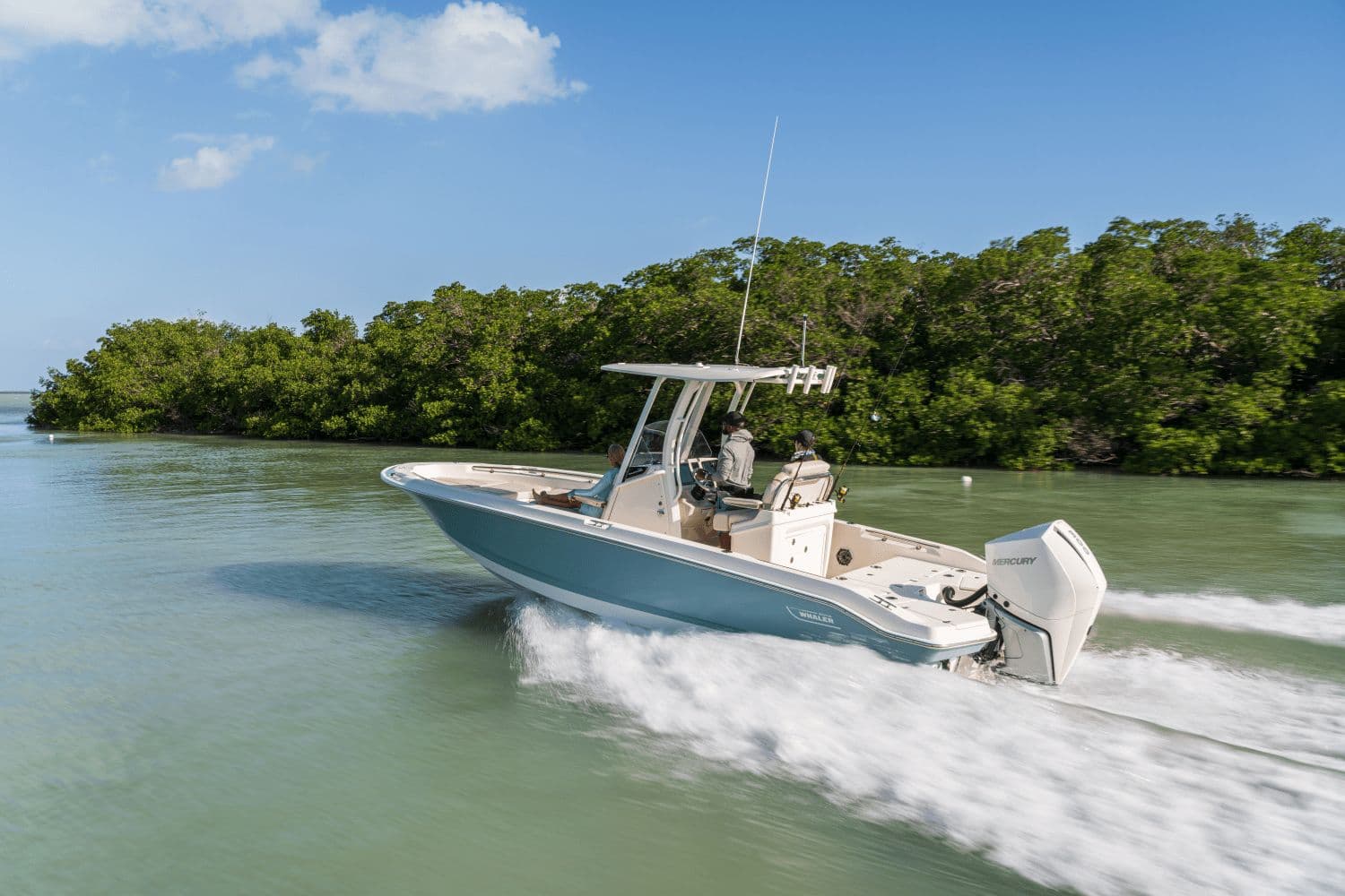 2026 Boston Whaler 250 Dauntless - 16