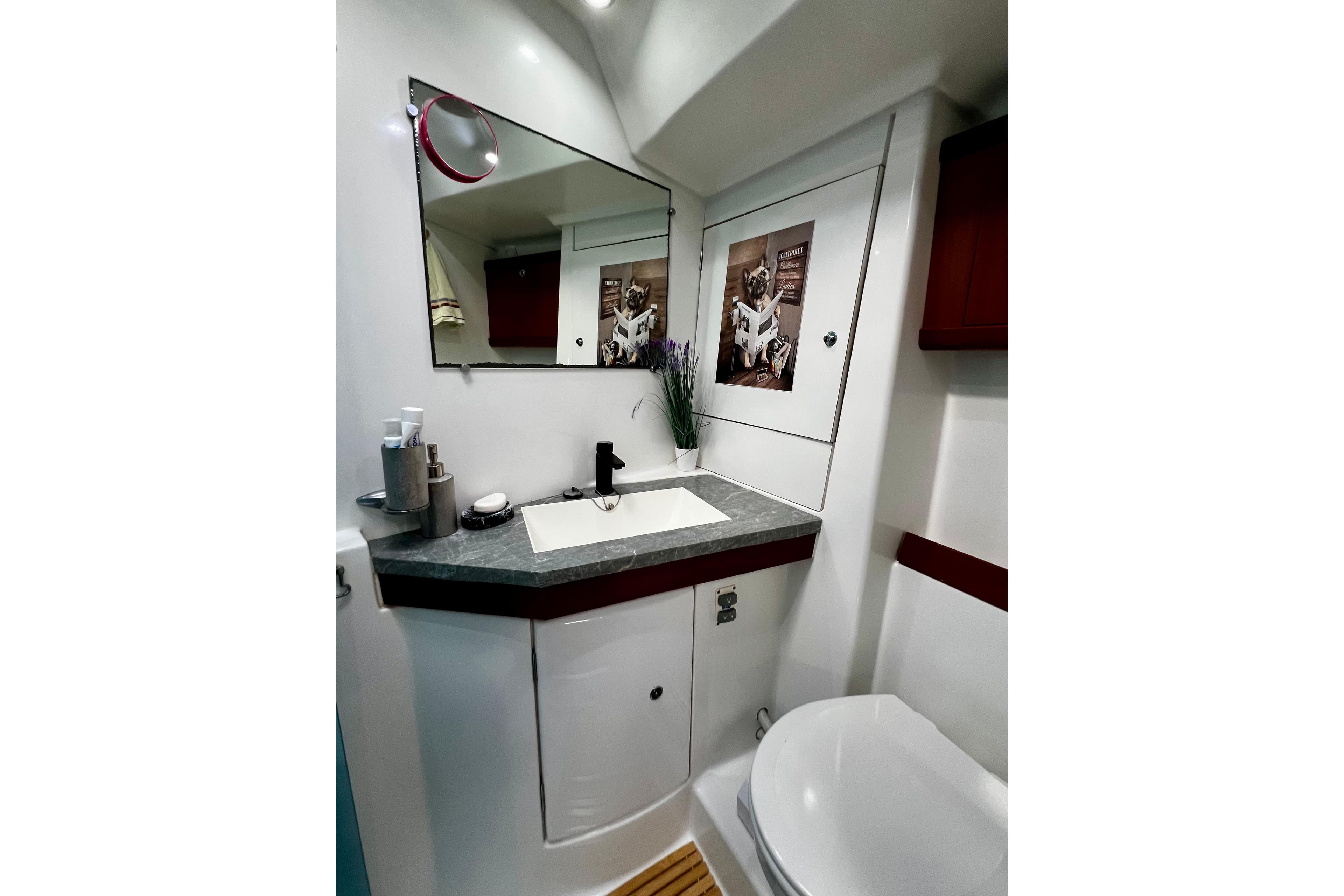 Bathroom interior of 2006 Beneteau Oceanis 50 yacht, featuring modern sink and decor.