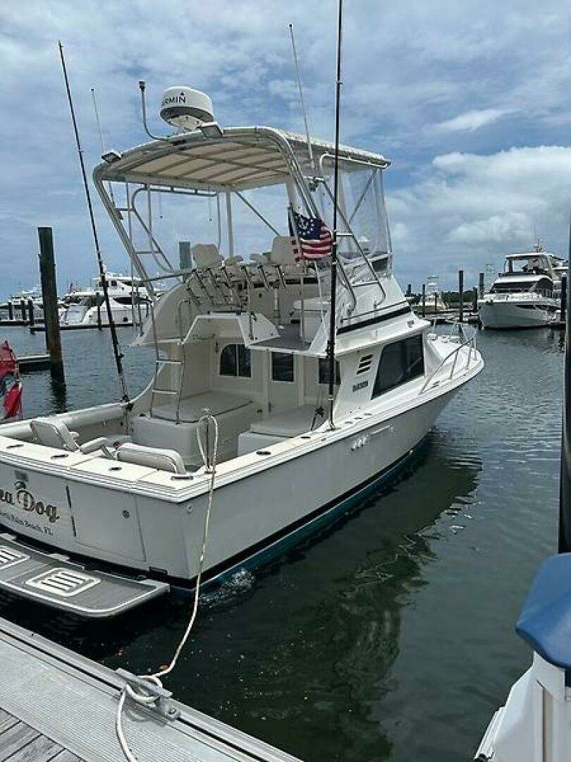 1994 Blackfin Sportfish - Image 2