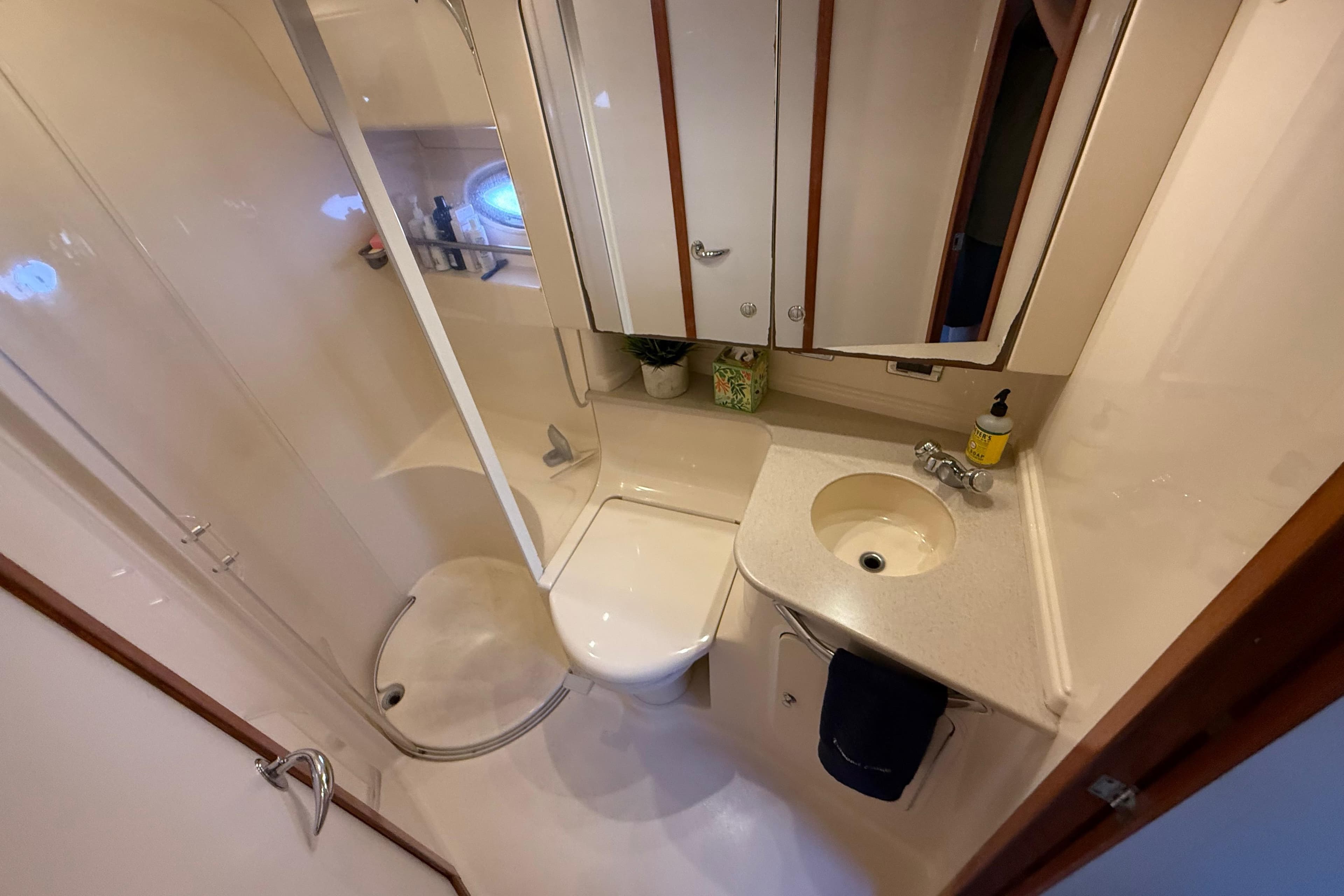 Luxurious bathroom in 2003 Sea Ray 460 Sundancer yacht, featuring shower, sink, and toilet.