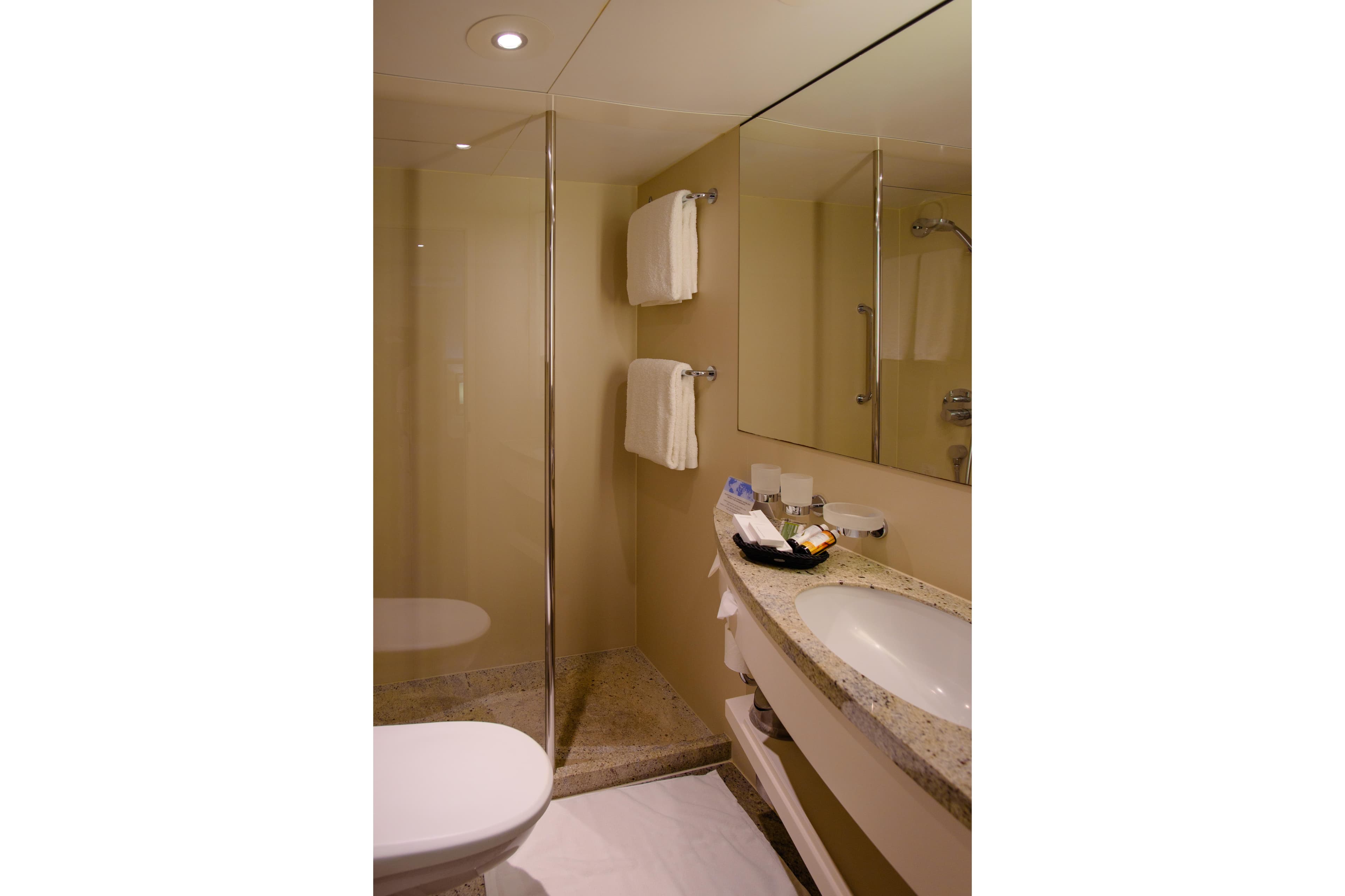 Luxurious bathroom on 1996 Minerva cruise ship with modern amenities and elegant design.