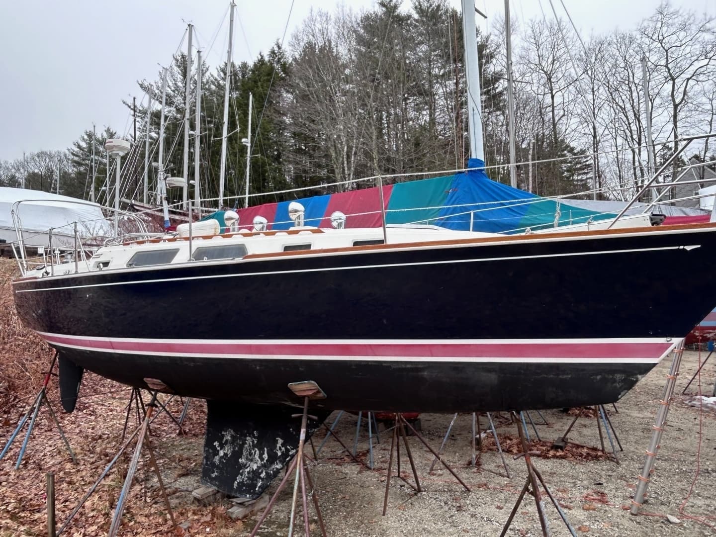1989 Sabre Mark II Targa - Image 6