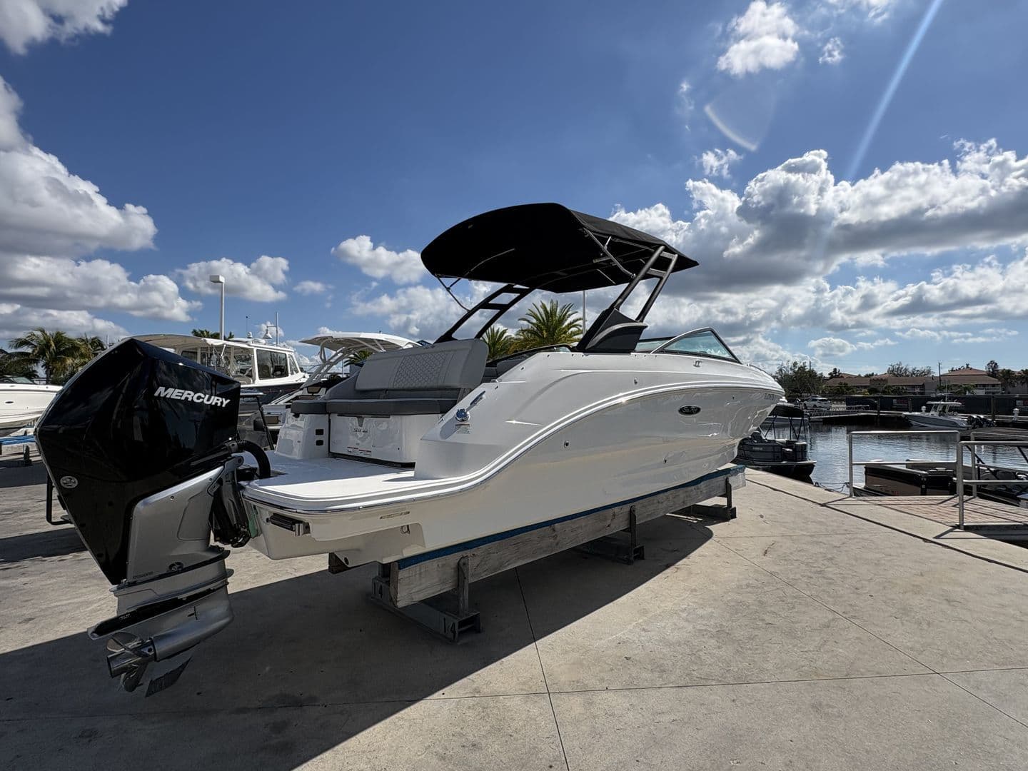 2024 Sea Ray 250SDX OB - 6